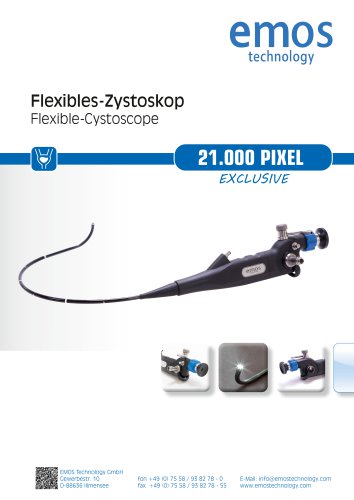 Flexibles Zystoskop