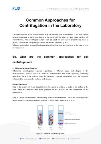 RWD Common Approaches for Centrifugation in the Laboratory