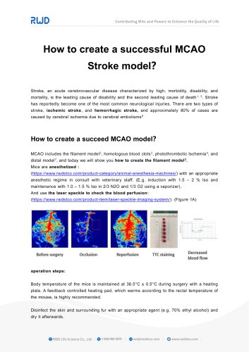 RWD How to create a successful MCAO Stroke model？