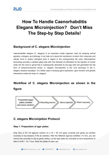 RWD How To Handle Caenorhabditis Elegans Microinjection  Don’t Miss The Step-by Step Details!