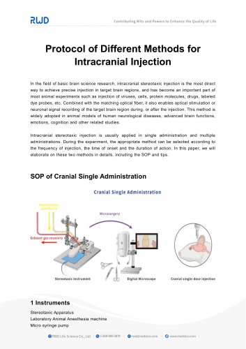 RWD Protocol of Different Methods for Intracranial Injection