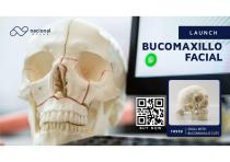 10559 - SKULL WITH BUCOMAXILLO CUTS