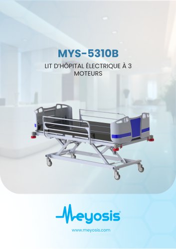 Lit d&rsquo;h&ocirc;pital &eacute;lectrique &agrave; 3 moteurs