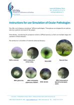 SIVIHA: Eye Disease Simulation Glasses