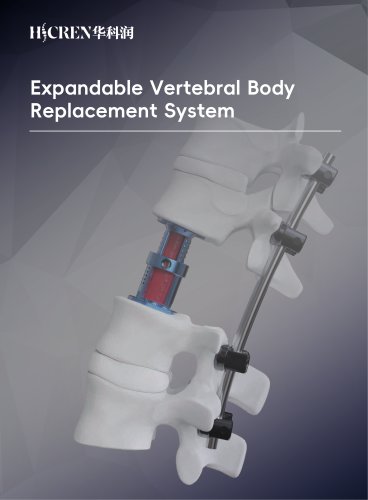 Expandable Vertebral Body Replacement System