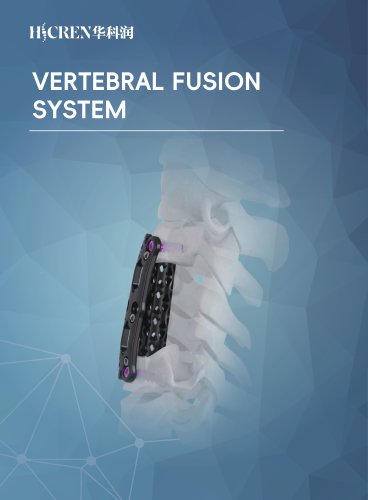 Vertebral Fusion System