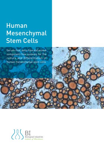 Human Mesenchymal Stem Cells