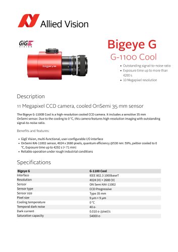 Bigeye G-1100 Cool