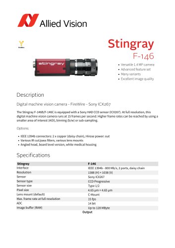 Stingray F-146