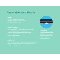 ureteral access sheath H04