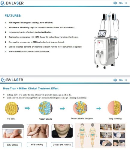 360 cryolipolysis machine manufacturer - BVLASER. The best professional cryolipolysis fat freezing slimming machine