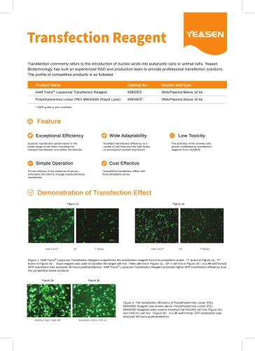 Reagents and Complete Solutions for mRNA-based Drug Development