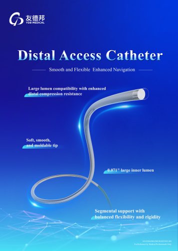 Distal Access Catheter