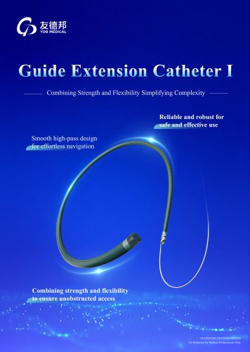 Guide Extension Catheter Ⅰ