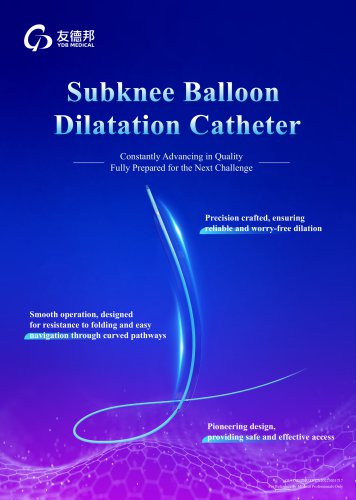 Subknee Balloon Dilatation Catheter