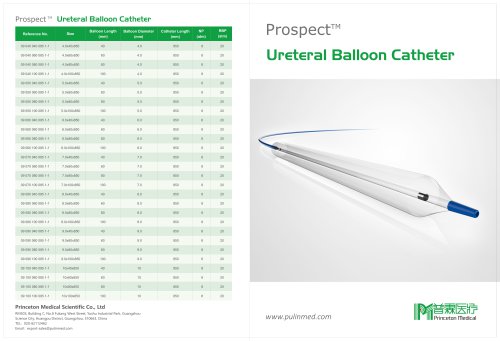 Prospect-Ureteral balloon catheter