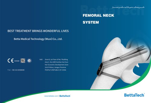 Femoral Neck System