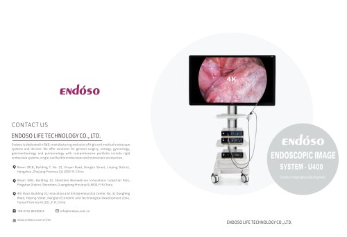 Endoso Endoscopy video processor U400 Series