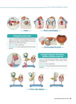 Sensory System Models SS 01,SS 02,SS 03