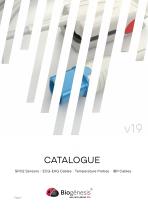 CATALOGUE v19