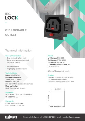 C13 LOCKABLE OUTLET