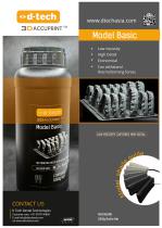 Model Basic Flyer