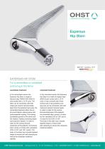 Expersus Hip Stem