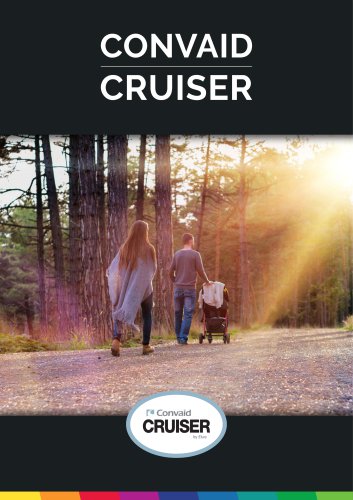 Cruiser