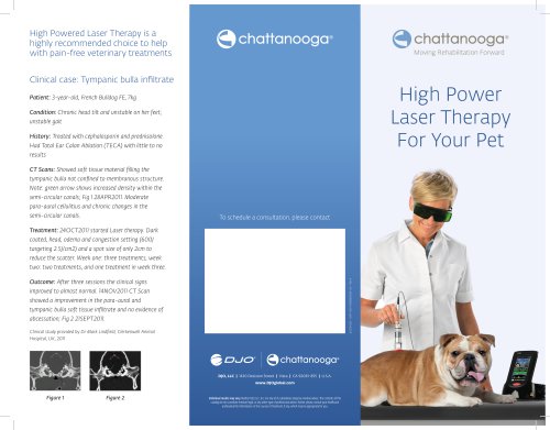 High Power Laser Therapy For Your Pet