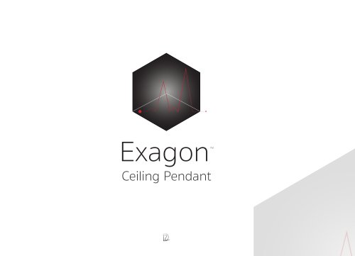 Exagon Ceiling Pendant Brochure