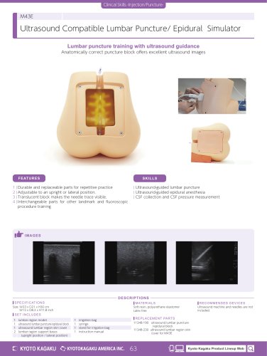 M43E Ultrasound-guided Lumbar Puncture Simulator