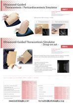 MW17 Ultrasound-Guided Thoracentesis/Pericardiocentesis Simulator;