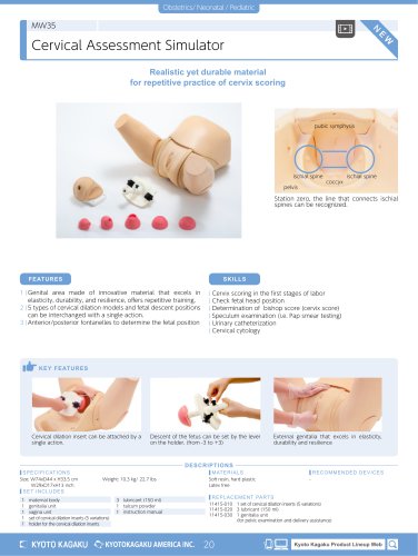 MW35 Cervical Assessment Simulator