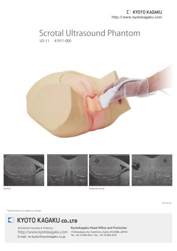 Scrotal Ultrasound Phantom