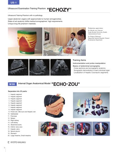 US-1 US-1 Ultrasound Examination Training Model "ECHOZY"