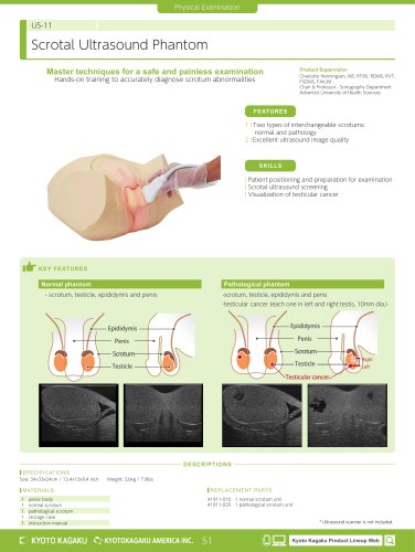 US-11 Scrotal Ultrasound Phantom