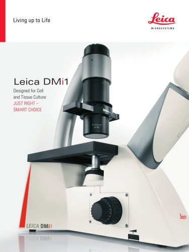 DMi1