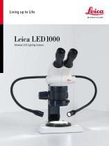 LED1000