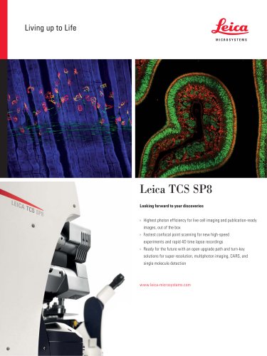 Leica TCS SP8-Flyer