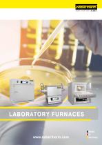 LABORATORY FURNACES