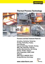 Thermal Process Technology