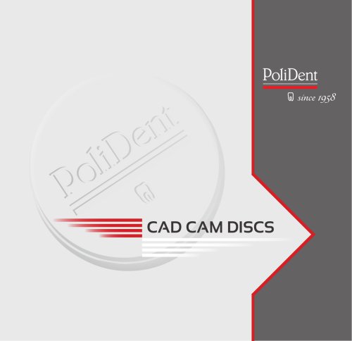 CAD-CAM discs