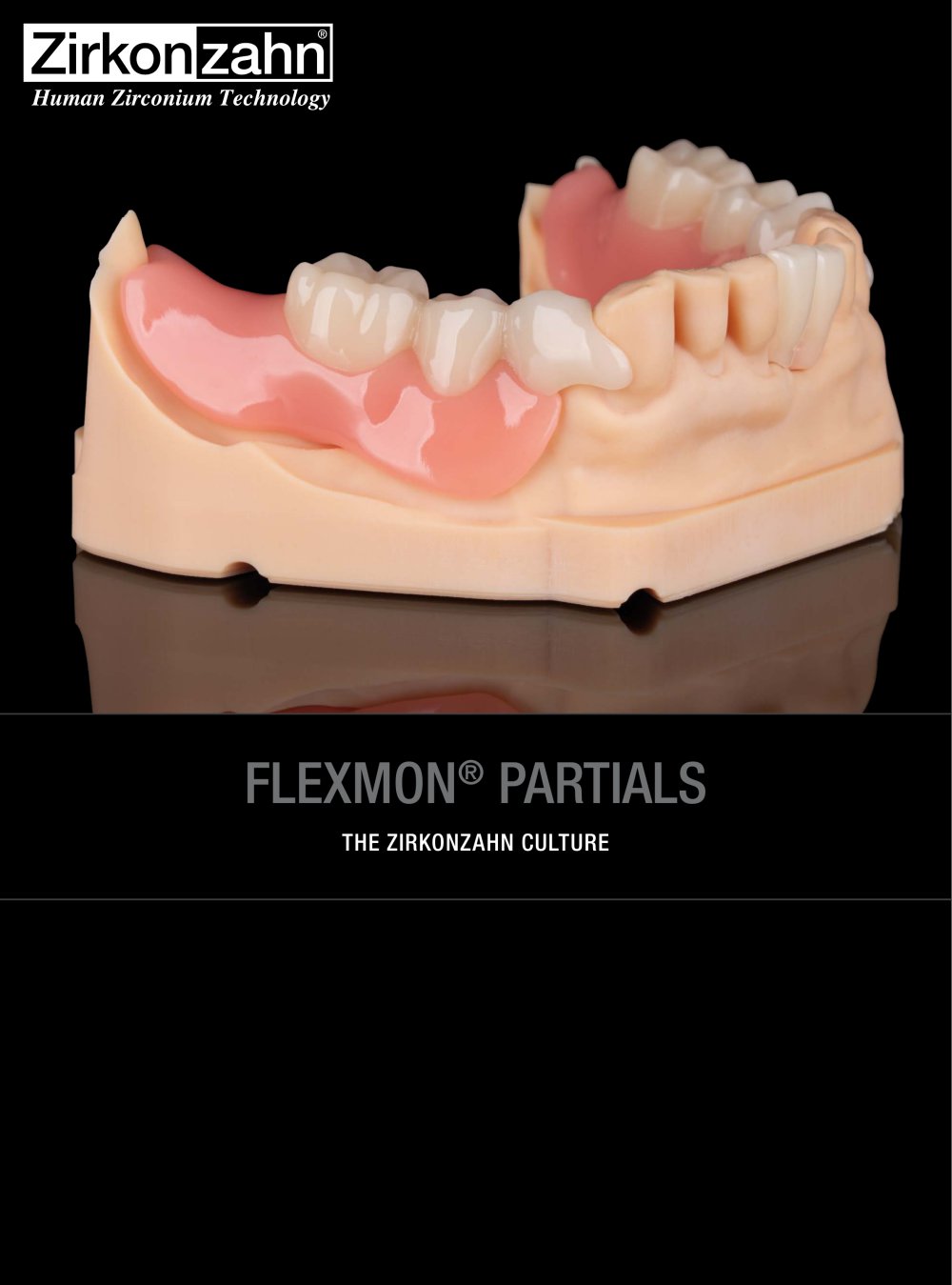 Insert Flexmon&reg; Partials - Zirkonzahn