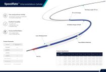 Medprin Easycess Neuro Vascular Product Catalog 2026-11 Speedflate™ Intracranial Balloon Catheter
