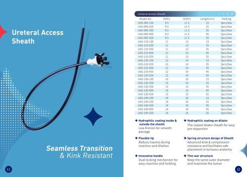 Ureteral Access Sheath