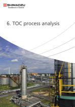 TOC process analysis