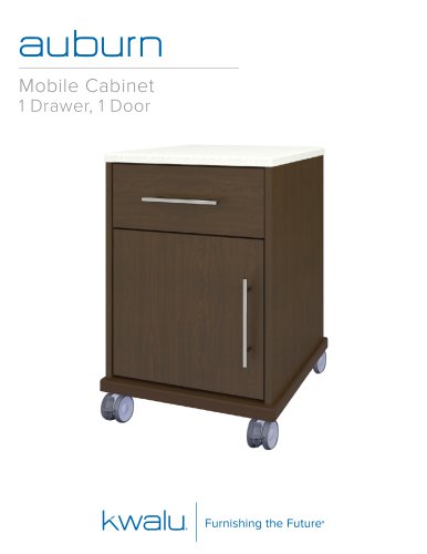 auburn Mobile Cabinet