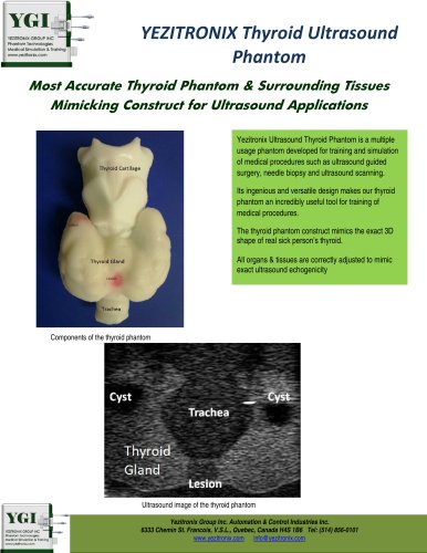 Thyroid Ultrasound Phantom