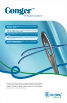 Conger Hydrophilic Guidewire