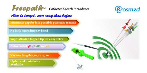 FreePath?Catheter Sheath Introducer